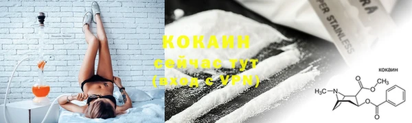 стаф Абаза