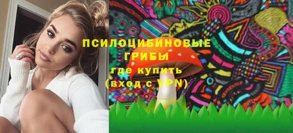 стаф Абаза