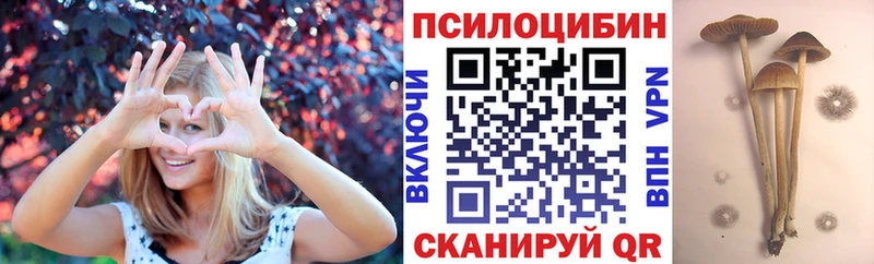 Галлюциногенные грибы Psilocybine cubensis Каменск-Шахтинский