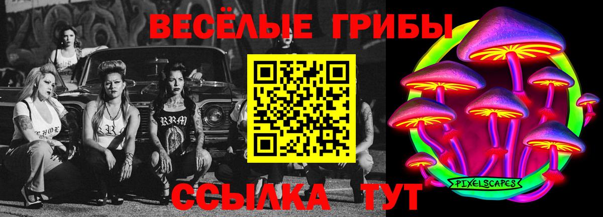 Каменск-Шахтинский  Псилоцибиновые грибы ЛСД  купить  сайты  Вход с VPN 